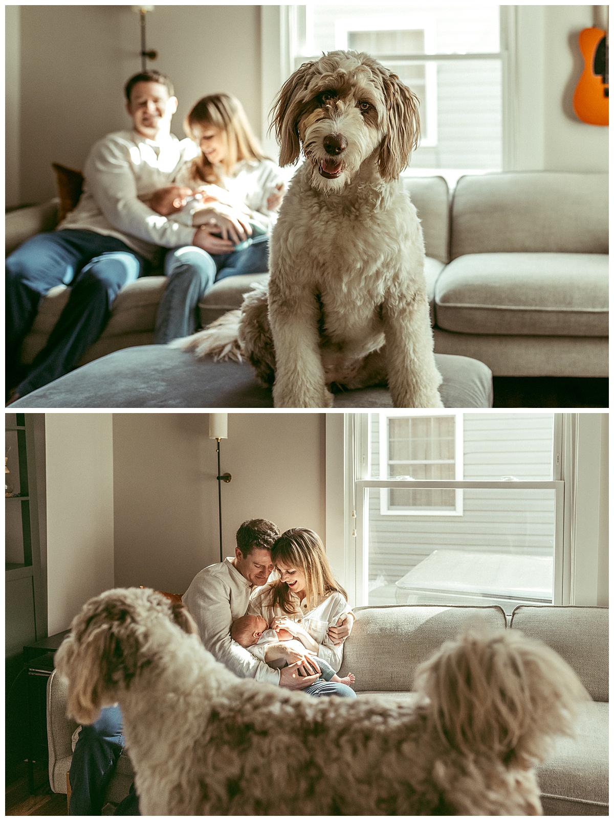 family dog sits near parents snuggling on couch by Virginia Beach photographer