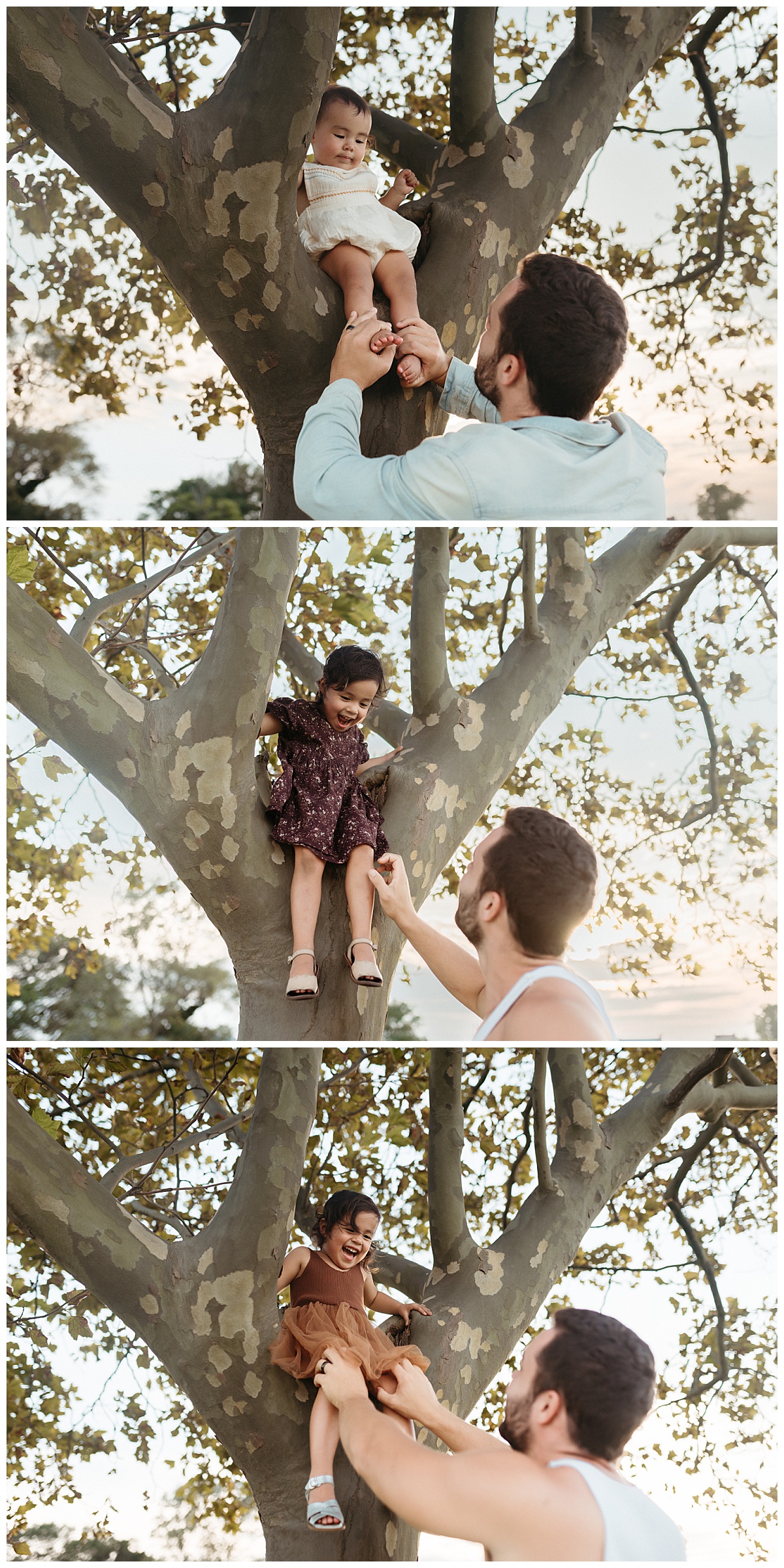 girls sit in tree as dad stands below ready to catch them by Virginia Beach photographer
