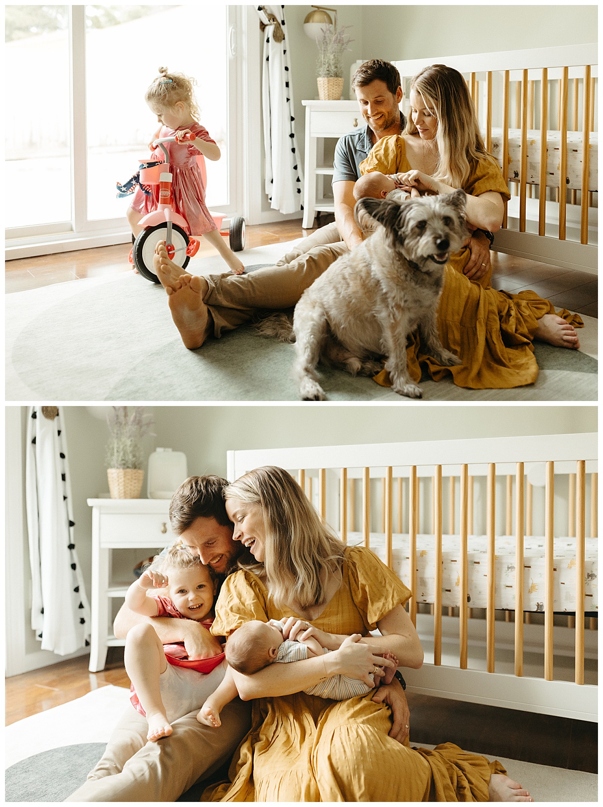 parents hold baby while dog sits near and daughter rides tricycle by Nikki Meer Photography