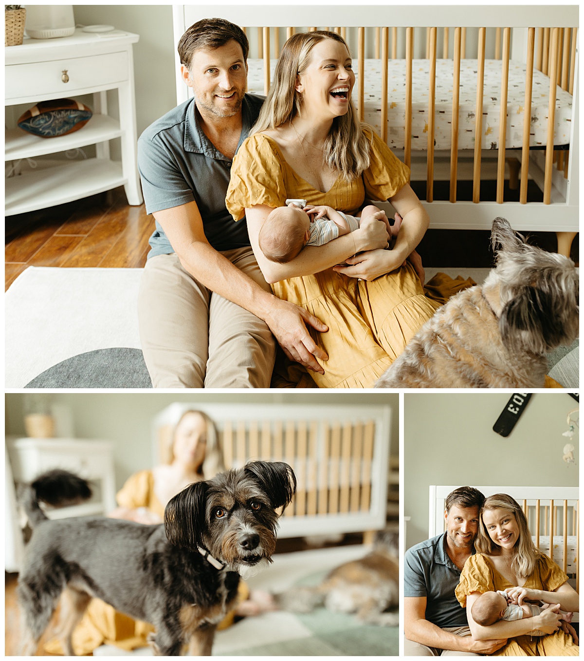 dog looks with ears perked up while man and woman hold infant by Nikki Meer Photography