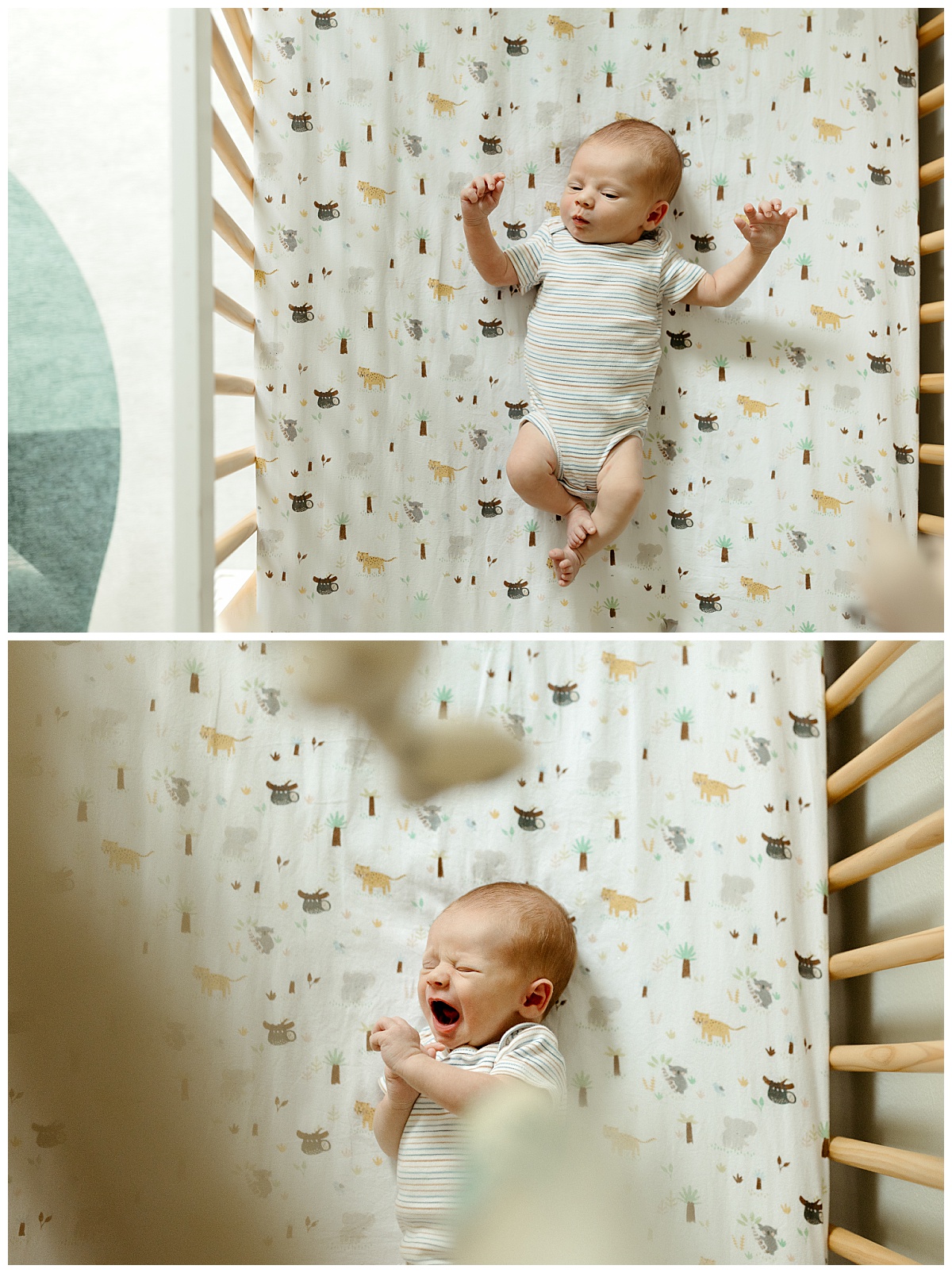 baby yawns as he lays in his crib during in-home newborn family session