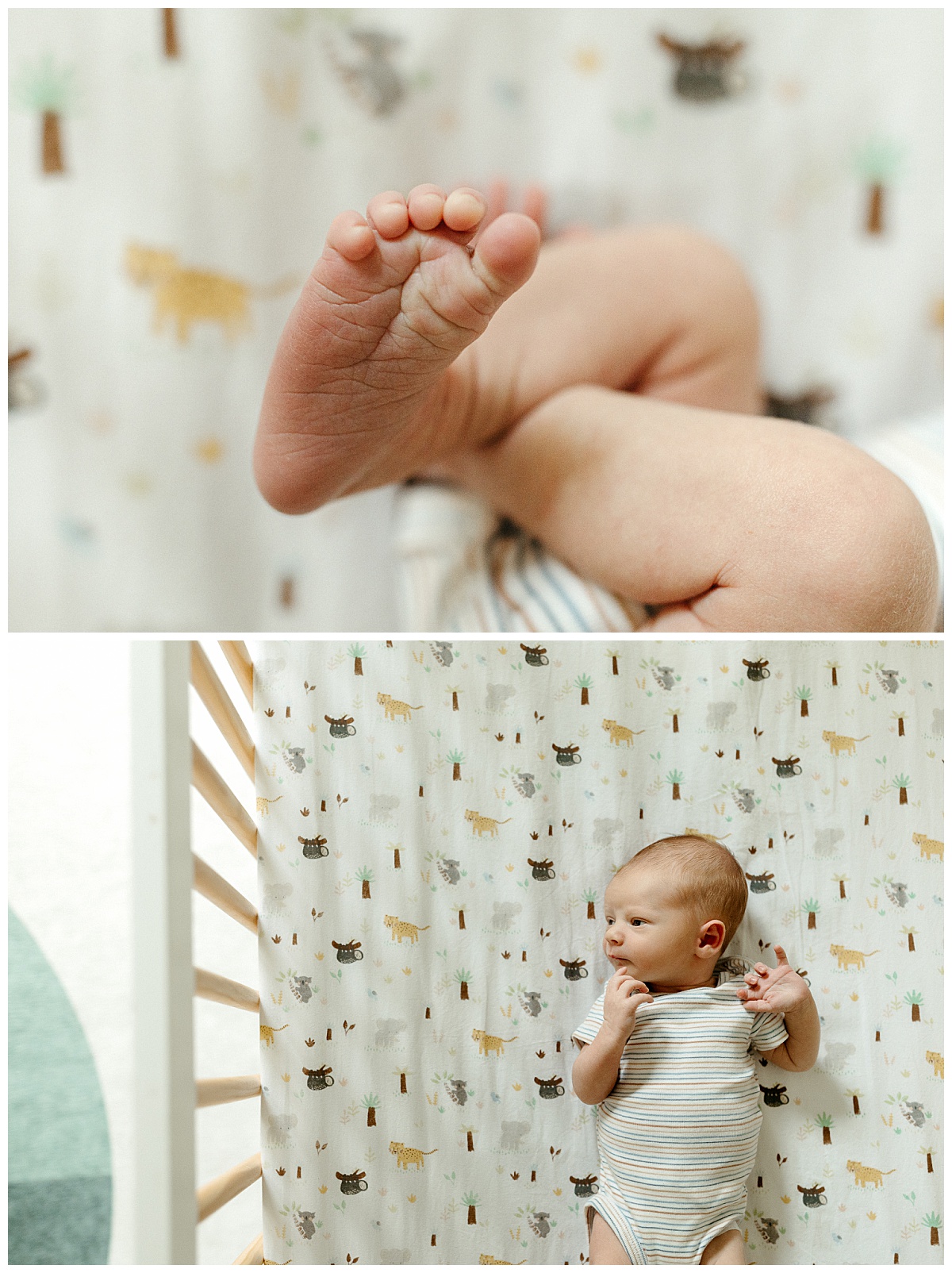 details of tiny toes and wrinkly feet by Virginia Beach Photographer