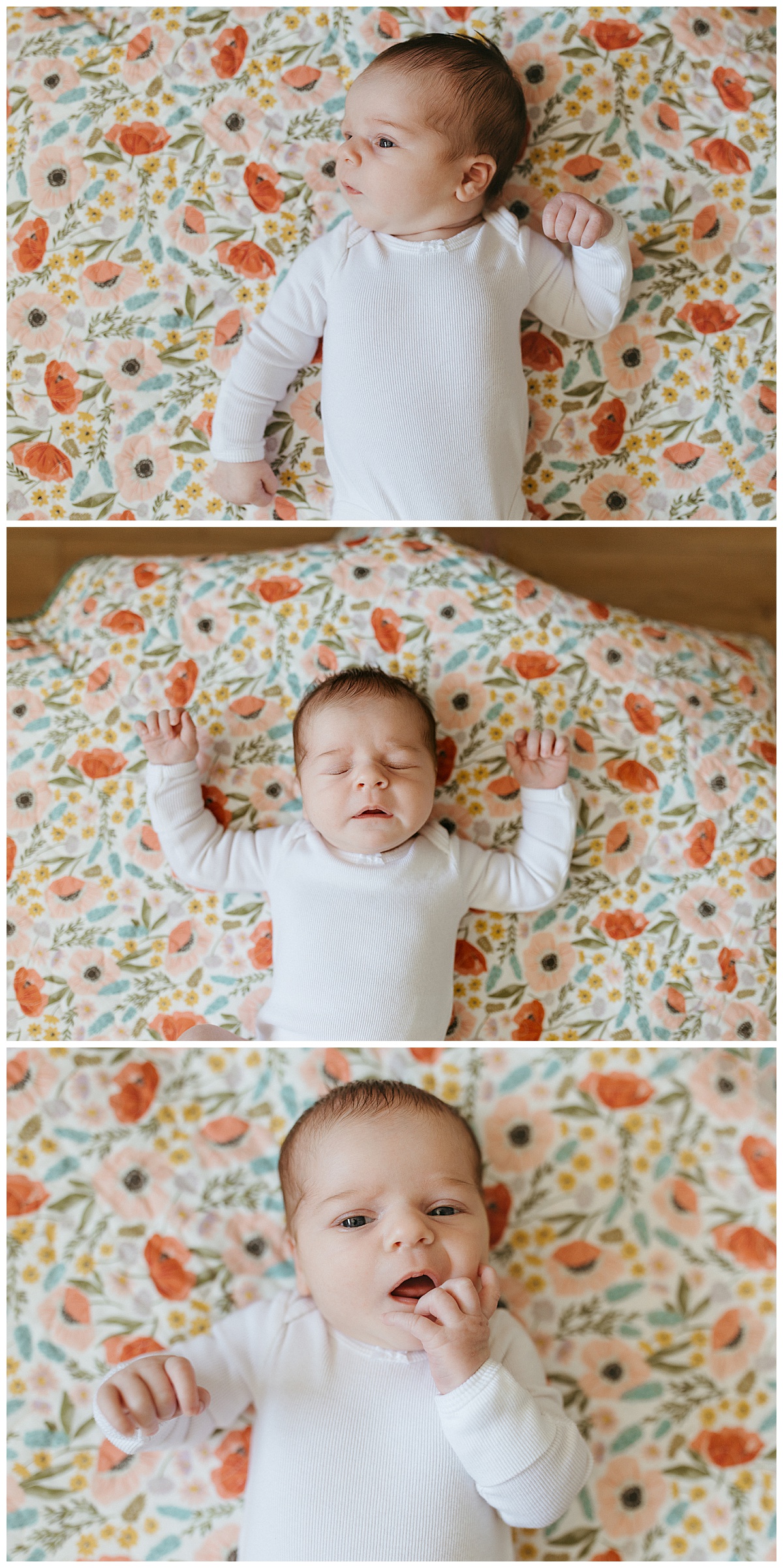 baby lays on quilt to prepare for your in-home newborn session