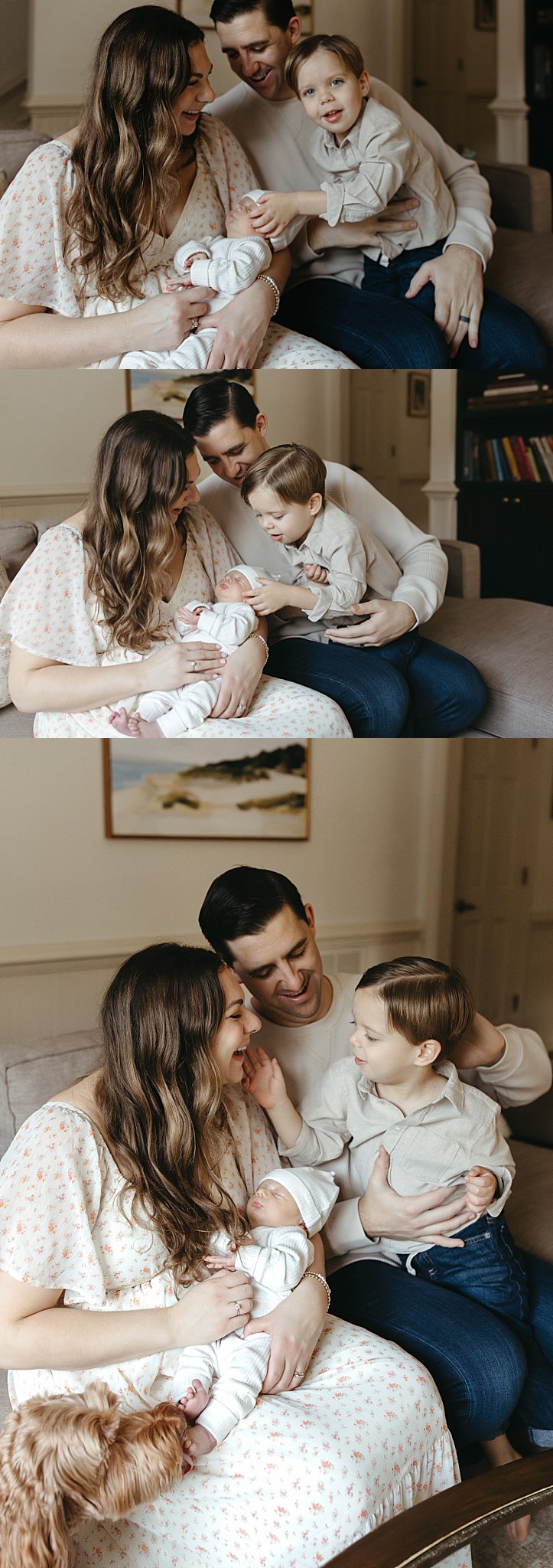 family gathers together on couch by Virginia Beach photographer