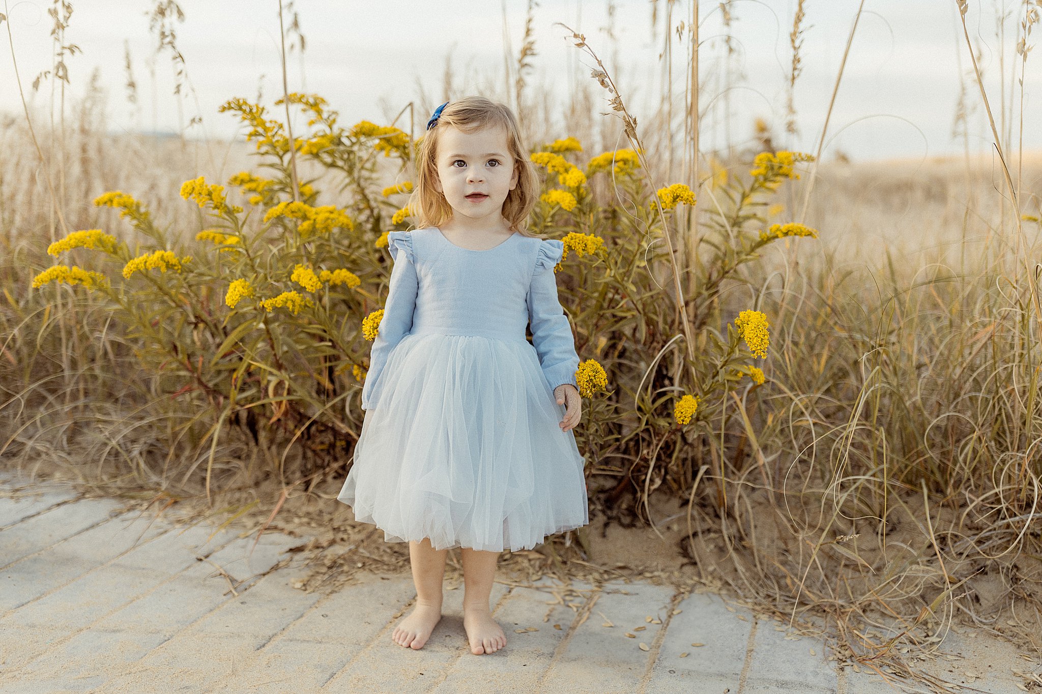 girl in blue dress stands in front of yellow flowers by Nikki Meer Photography