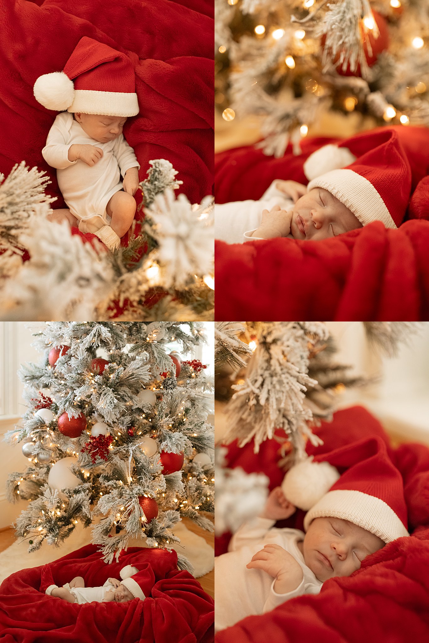 newborn baby wearing santa hat and stockings lays on red blanket under christmas tree by Nikki Meer Photography